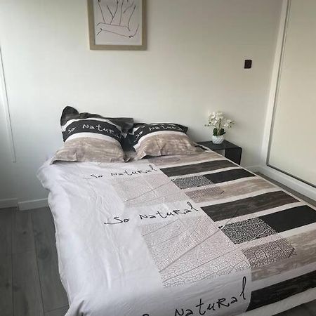 Appartement 110M2 Annemasse Zewnętrze zdjęcie