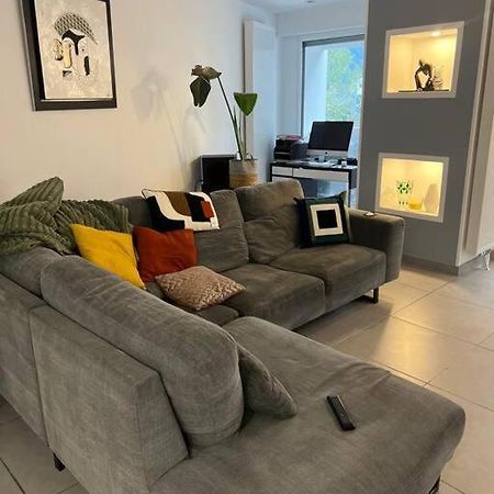Appartement 110M2 Annemasse Zewnętrze zdjęcie