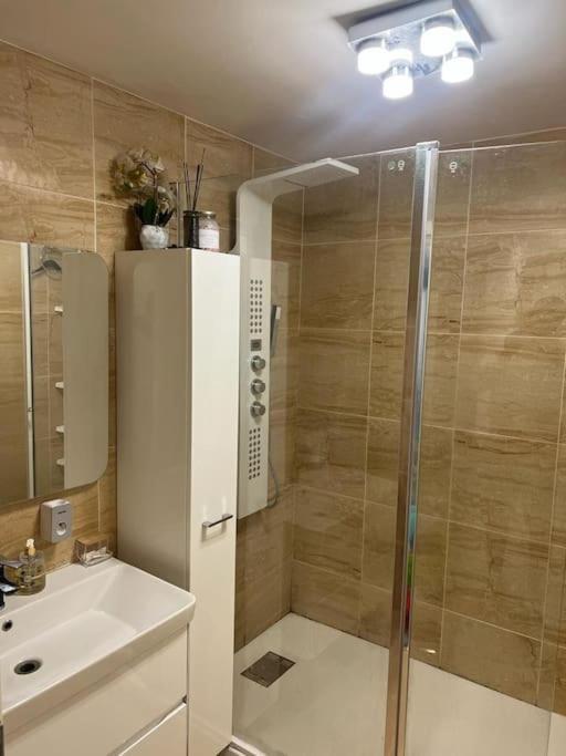 Appartement 110M2 Annemasse Zewnętrze zdjęcie